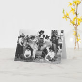 Sieben Rodeo-Cowgirls posieren scherzhaft mit eine Karte (Gelbe Blume)