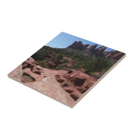 Sieben Sakralpools Fliese (Seite)