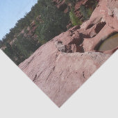 Sieben Sakralpools Seidenpapier (Ausschnitt)