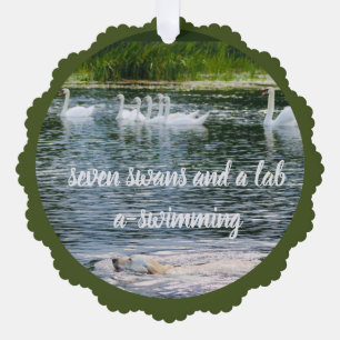 Sieben Schwäne und ein Lab a-Schwimmen Ornament Ka Karte