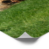 sieben seltsame Regenschaf Poster (Ecke)