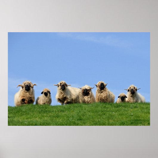 sieben seltsame Regenschaf Poster (Vorne)