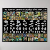 Sieben verbreitete Arten von Riesenklavenplakat (g Poster (Vorne)