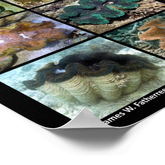 Sieben verbreitete Arten von Riesenklavenplakat (g Poster (Ecke)