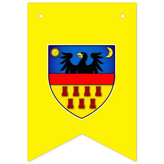 Siebenbürtige Flaggen (Zweite Fahne)