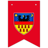 Siebenbürtige Flaggen (Erste Fahne)