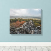 Siebengebirge - Oelberg Leinwanddruck (Insitu (Holzboden))