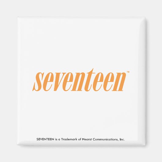 Siebzehn Logokombinationen Magnet (Vorne)