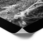 Siedler Homestead in Neuseeland 1906 Poster (Ecke)