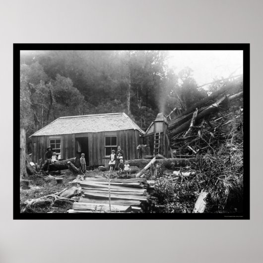 Siedler Homestead in Neuseeland 1906 Poster (Vorne)