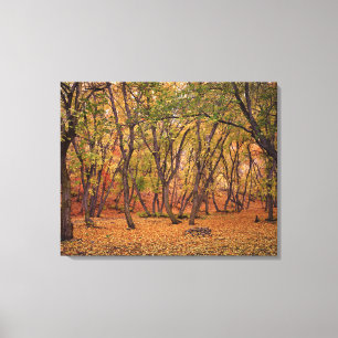 Siedlungsschlucht Leinwanddruck