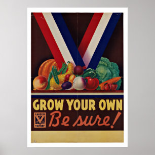 Sieg-Garten - Vintager Patriotismus Poster