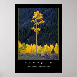 Sieg Poster