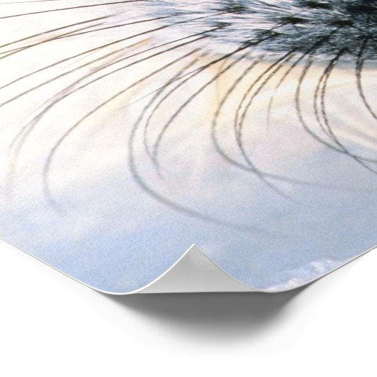 SIEGEL 2 POSTER (Ecke)