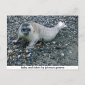 SIEGEL (2), Siegel für Säuglinge, von Steppengrün Postkarte (Vorderseite)