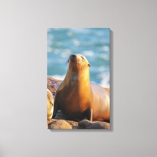 Siegel 3 - Ich sehe dich nicht sehen ! Leinwanddruck (Vorderseite)