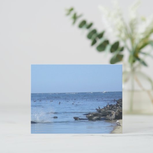 Siegel am Strand Postkarte (Stehend Vorderseite)