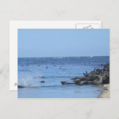 Siegel am Strand Postkarte (Vorne/Hinten)