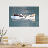 Siegel auf Eis Poster (Küche)