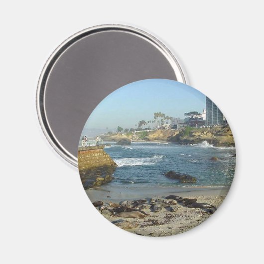 Siegel auf Sand in La Jolla Magnet (Vorderseite/Rückseite)