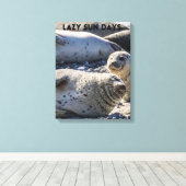 Siegel auf Sand und Kies Leinwand drucken (Insitu (Holzboden))