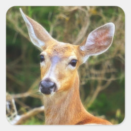 Siegel/Aufkleber/Etikett Quadratischer Aufkleber