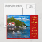 Siegel bei Telegraph Cove, BC Canada. Postkarte (Vorne/Hinten)