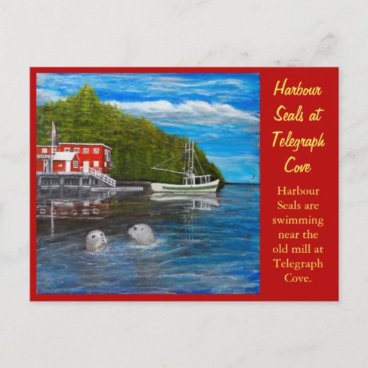 Siegel bei Telegraph Cove, BC Canada. Postkarte (Vorderseite)