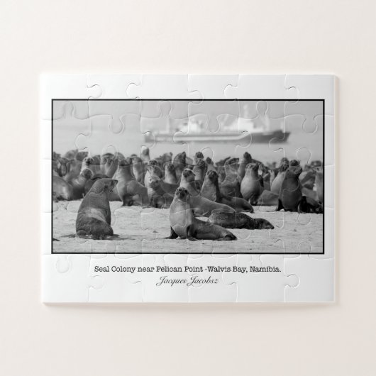 Siegel Colony bei Pelican Point Puzzle (Horizontal)