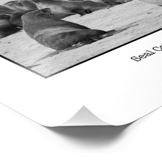 Siegel Colony Fotodruck (Ecke)