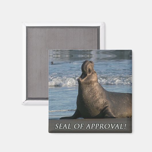 Siegel der Genehmigung Magnet (Vorderseite/Rückseite)