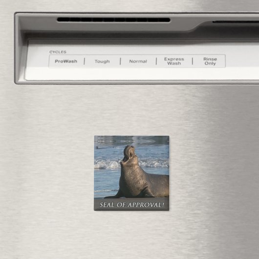 Siegel der Genehmigung Magnet (In Situ (Geschirrspüler))