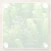 Siegel der glänzenden Silberfische Glasuntersetzer (Rückseite)