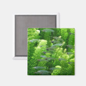 Siegel der glänzenden Silberfische Magnet (Vorderseite/Rückseite)