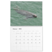 Siegel des Cape Cod-Kalenders Kalender (Feb 2026)