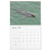 Siegel des Cape Cod-Kalenders Kalender (Feb 2027)