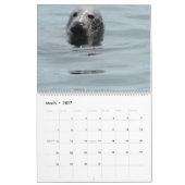 Siegel des Cape Cod-Kalenders Kalender (Mär 2027)