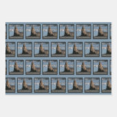 Siegel des Genehmigungswrapping-Papiers (Mix) Geschenkpapier Set (Vorderseite 3)