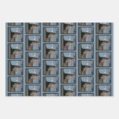 Siegel des Genehmigungswrapping-Papiers (Mix) Geschenkpapier Set (Vorderseite 2)