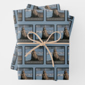 Siegel des Genehmigungswrapping-Papiers (Mix) Geschenkpapier Set (Beispiel)