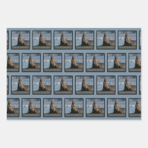 Siegel des Genehmigungswrapping-Papiers (Mix) Geschenkpapier Set