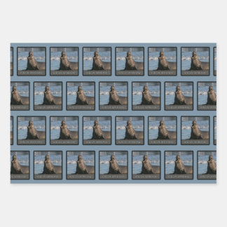 Siegel des Genehmigungswrapping-Papiers (Mix) Geschenkpapier Set