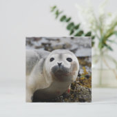 Siegel Einladung (Stehend Vorderseite)