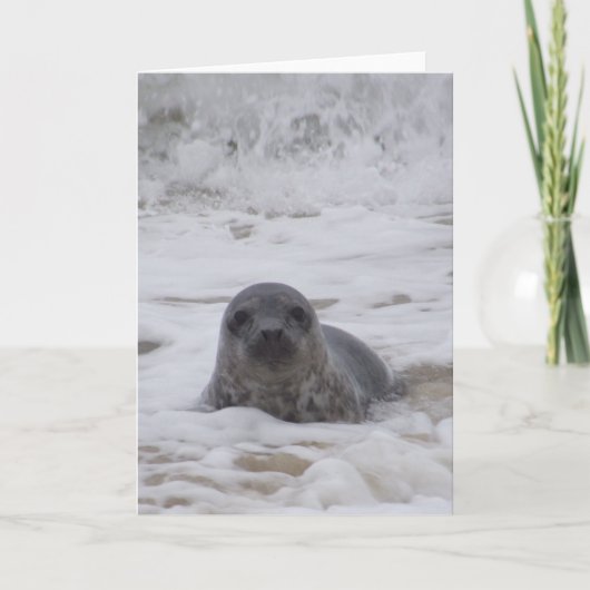 Siegel - Foto Farbe Farbe drucken Grußkarte Karte (Vorderseite)