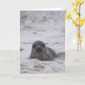 Siegel - Foto Farbe Farbe drucken Grußkarte Karte (Gelbe Blume)