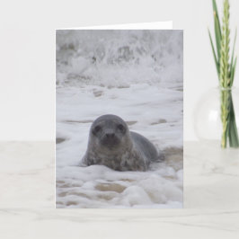 Siegel - Foto Farbe Farbe drucken Grußkarte Karte