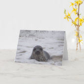 Siegel - Foto Farbe Farbe drucken Grußkarte Karte (Gelbe Blume)