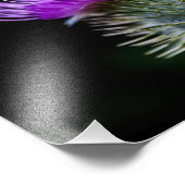 Siegel Fotodruck (Ecke)