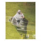 Siegel Fotodruck (Vorne)