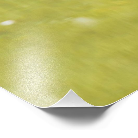 Siegel Fotodruck (Ecke)